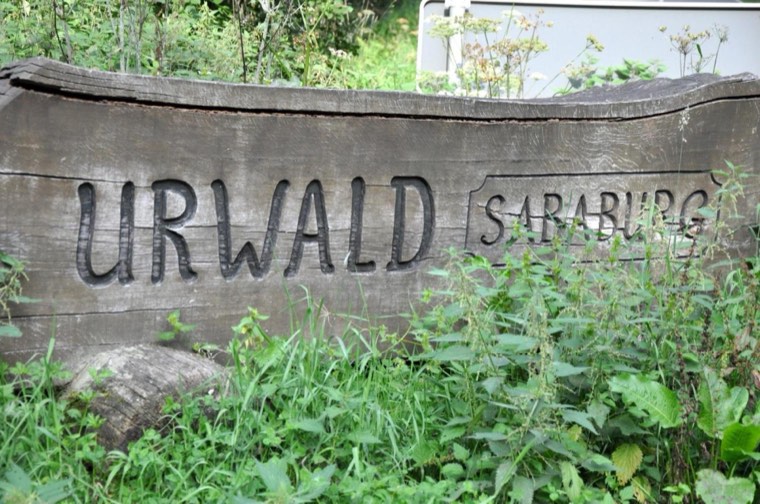 Holzschild Urwald Sababurg im Reinhardswald